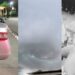Vc viu? Princípio de tornado causa estragos na Grande Ilha, criança morre em emboscada e agressores de mulher são identificados no MA