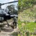 Operação Policial erradica mais de 22 mil pés de maconha em Santa Helena no MA