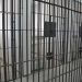 Foragido condenado a mais de 13 anos por estupro de adolescente é preso no MA